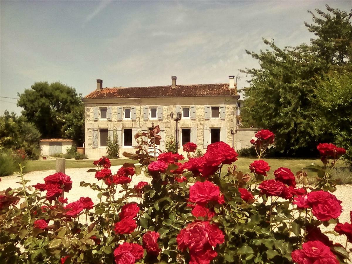 Bed and Breakfast Maison Lavande Saint-Jean-dʼAngély Exterior foto